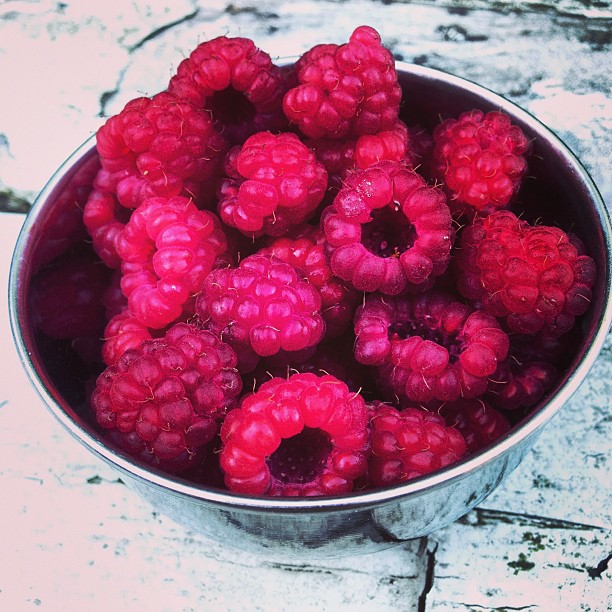 Summer Raspberries