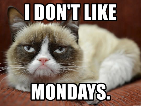Best of Grumpy Cat memes no credit METROGRAB